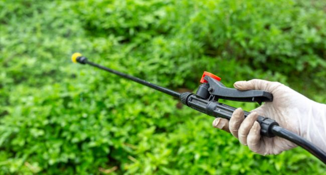 gardeners-are-spraying-min