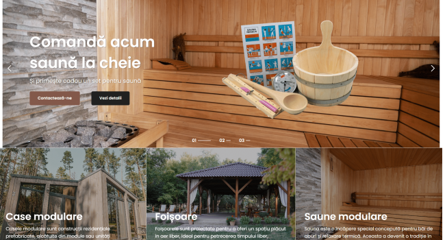 Creare Site Web Rocelite.md